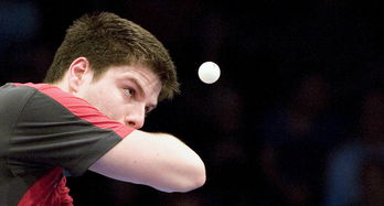 开云体育APP下载-瑞典乒乓球队险胜德国乒乓球队，奥恰洛夫绝境逆转