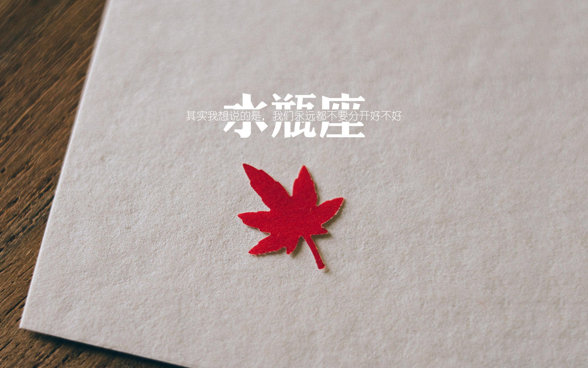 新势力崛起日,文班亚马的圣城宣言与切特·霍尔姆格伦的欧陆加冕礼